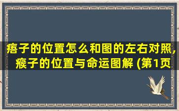 痦子的位置怎么和图的左右对照,瘊子的位置与命运图解 (第1页)